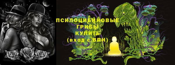 ГАЛЛЮЦИНОГЕННЫЕ ГРИБЫ Алексин