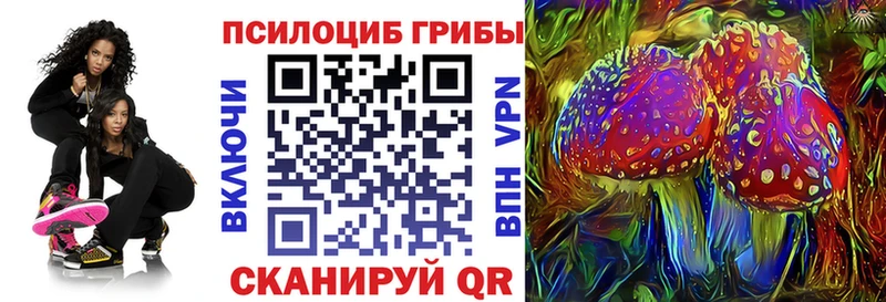 mega как войти дарк нет как зайти Псилоцибиновые грибы Cubensis Заинск